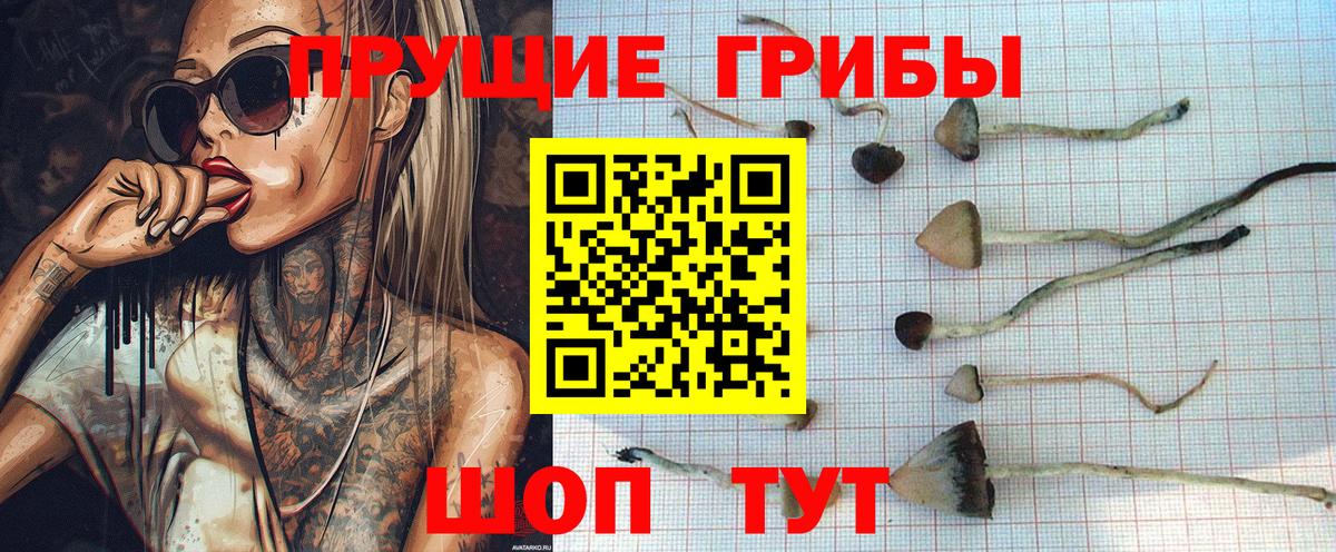 Галлюциногенные грибы мицелий Первоуральск
