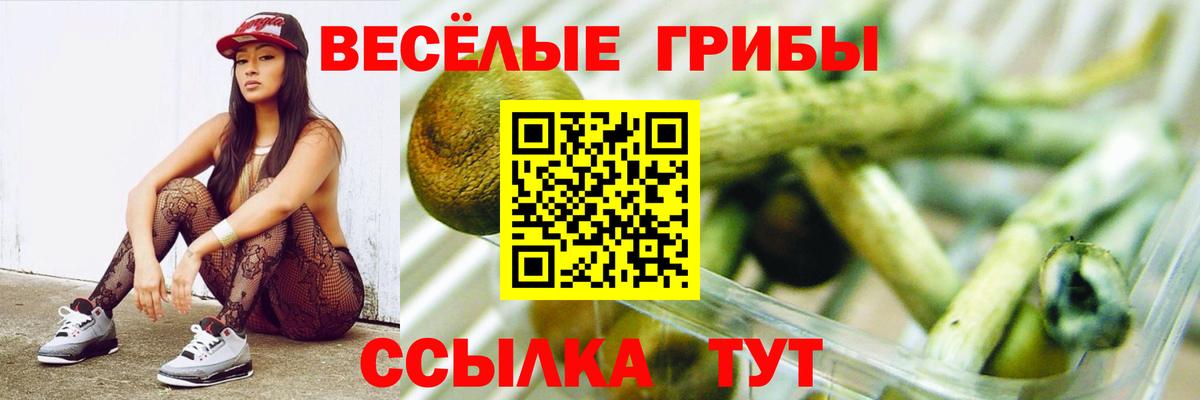 Первоуральск  Галлюциногенные грибы мицелий  Вход с VPN 